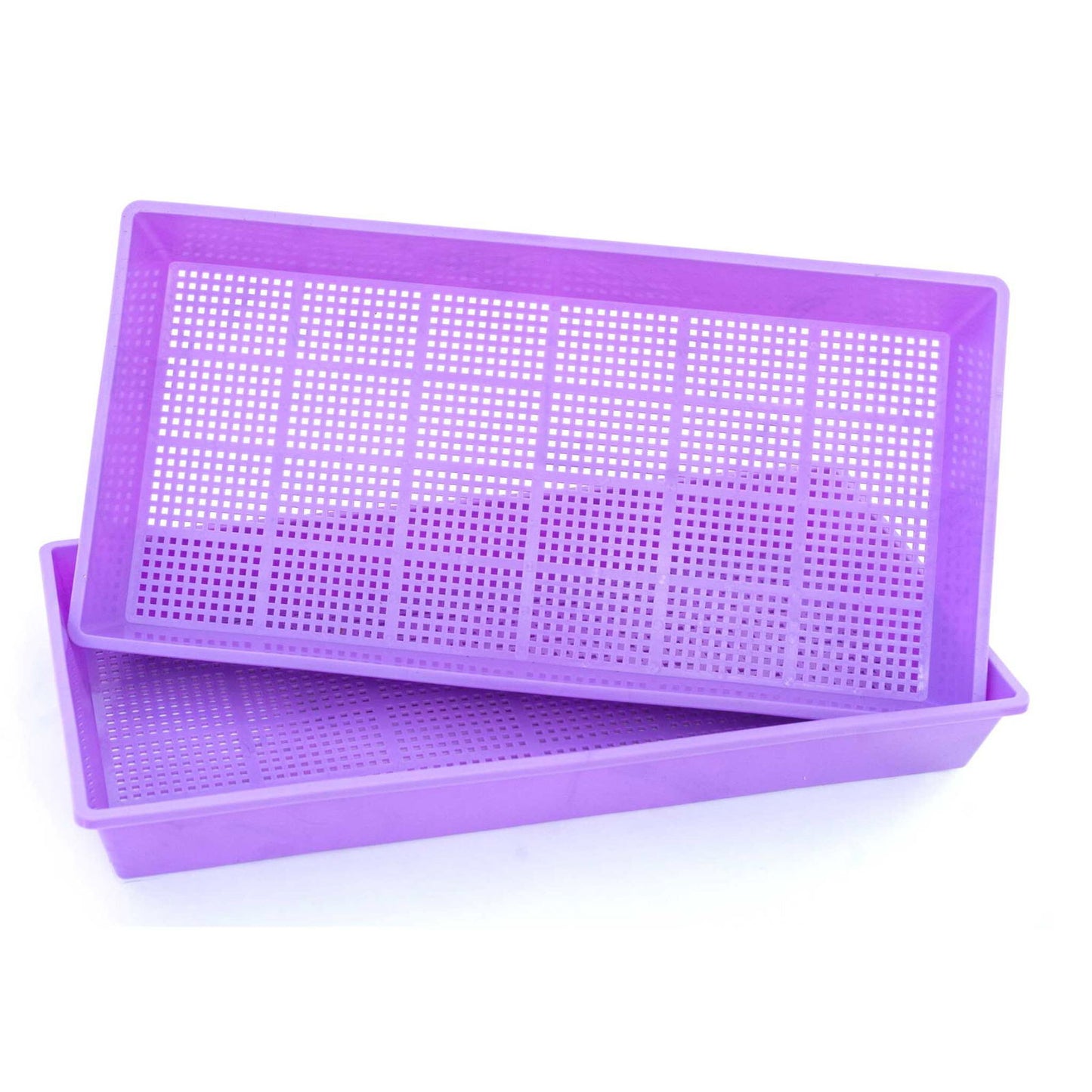 Plastic lavender-colored seedling trays with a gridded base shown stacked against a white background showcasing their lightweight and perforated design