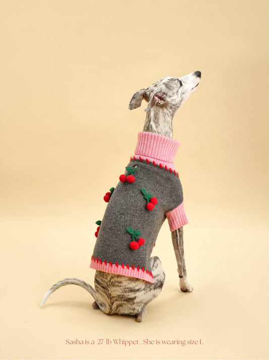 Cherry Kiss Sweater - BarkBarkBaby ~ Blessings Grow Meadows