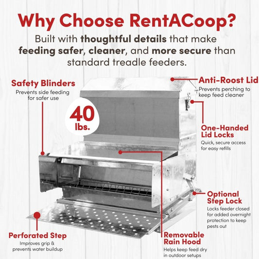 RentACoop 40 lb automatic treadle chicken feeder with metal trough and durable design for poultry feeding.
