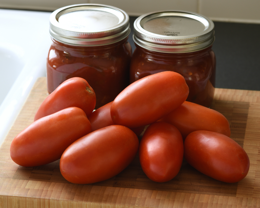 Bellatrix Hybrid Tomato Seeds - Blessings Grow Meadows