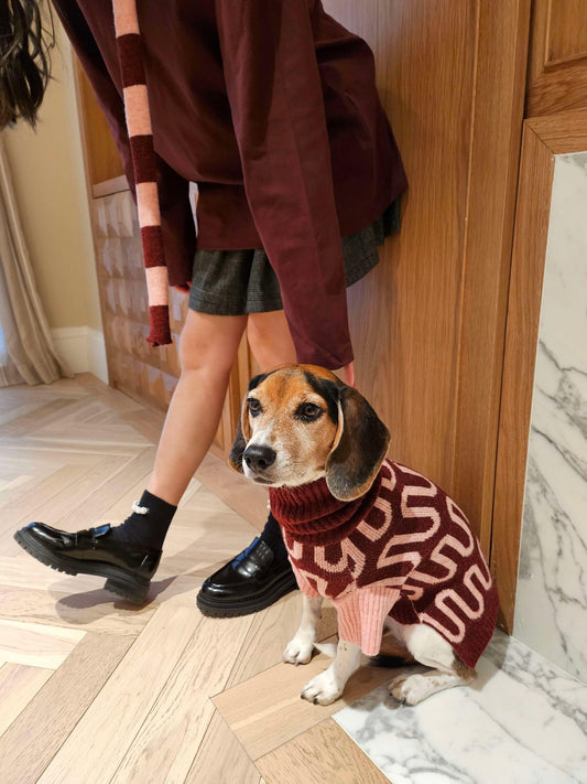 Rosé Bliss Thin Useless Striped Scarf (Free with Matching Sweater Purchase) - BarkBarkBaby ~ Blessings Grow Meadows