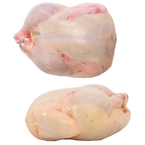 5x9 inch quail and small bird freezer shrink bags ideal for poultry storage, suitable for quail, pigeon, and dove.
