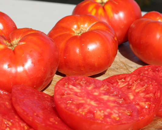 Several whole and sliced ripe tomatoes grown from Beefmaster Hybrid Tomato Seeds by Seeds 'n Such are arranged on a wooden surface, glistening with water droplets in bright sunlight.
