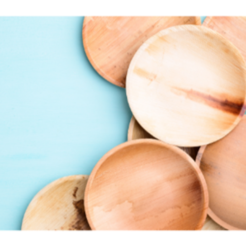 MicRic palm leaf 6-inch round plates, pack of 600, biodegradable disposable tableware for parties and events.