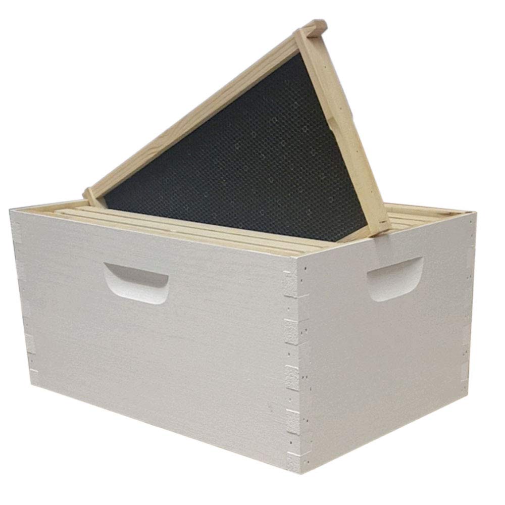 8 Frame Langstroth Deep Brood Box – Amish-Made White Pine (Painted & Assembled)