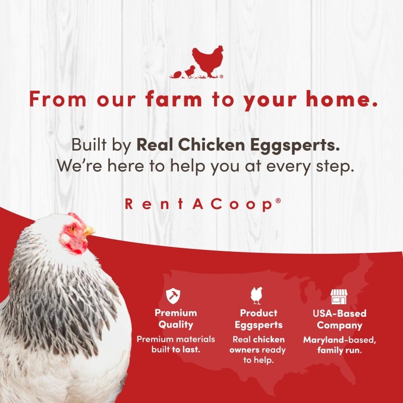 RentACoop Black Non-Electric Boundary Fence