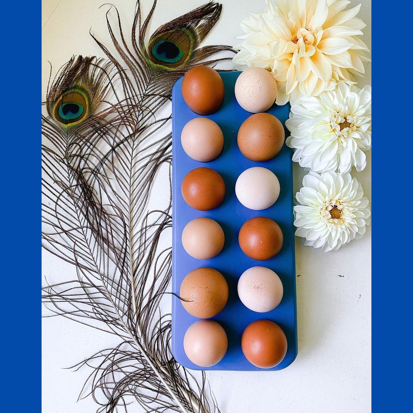 Henlay Decorative Egg Storage Tray: Wooden Egg Holder for Refrigerator, Kitchen Counter, Serving, or Display - Blessings Grow Meadows