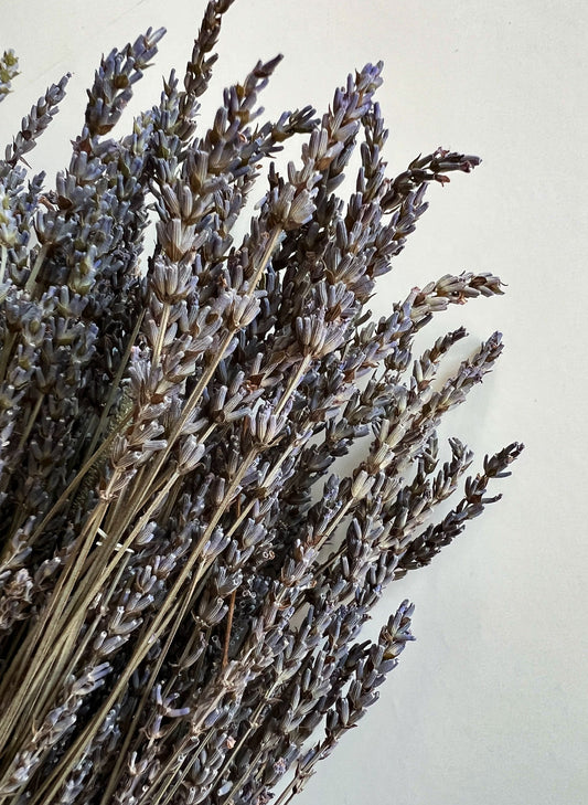 Dried Lavender - French