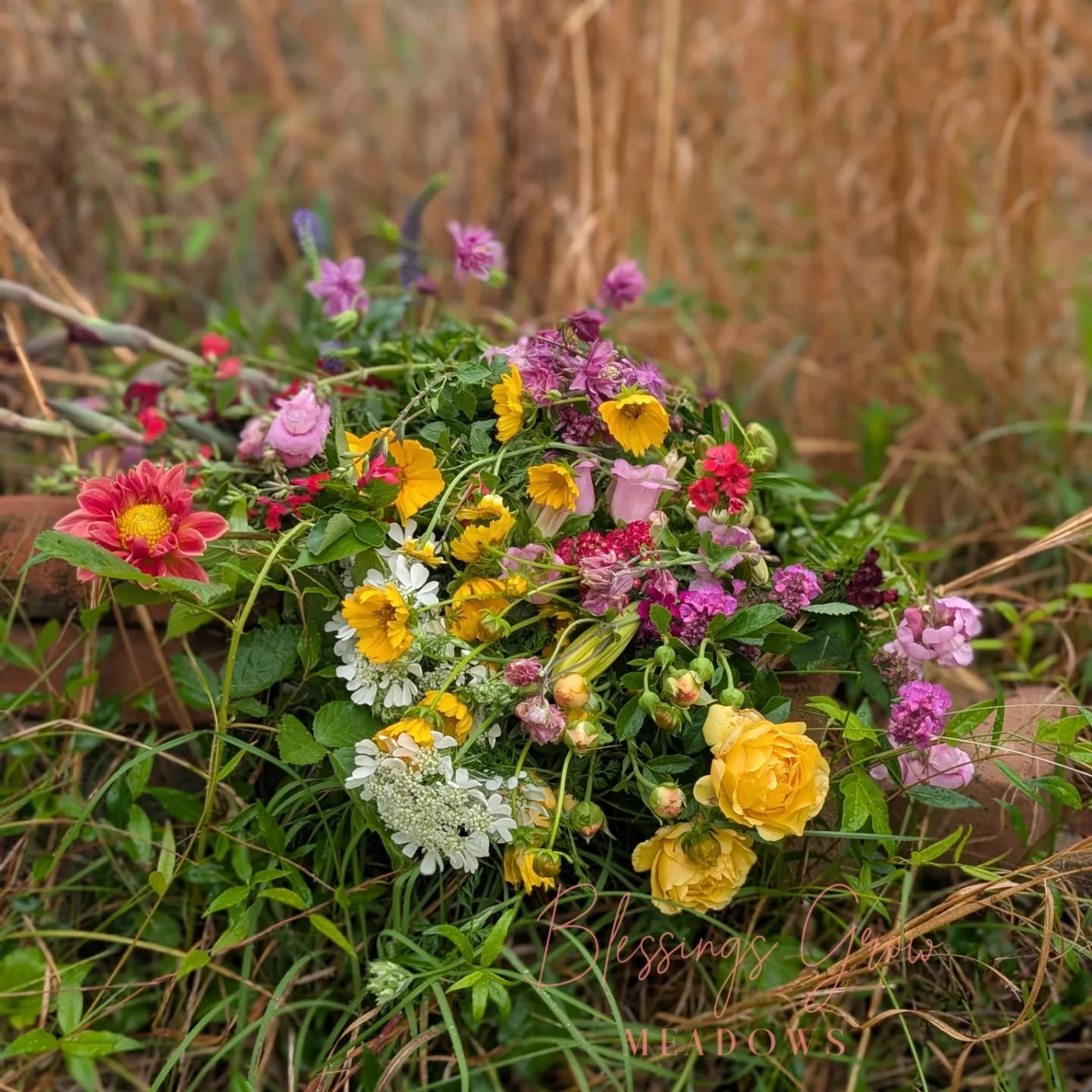 Fresh cut flowers from Blessings Grow Meadows for DIY Boom Bar bouquet-making event, featuring locally grown, chemical-free blooms.
