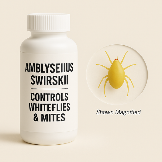 Amblyseius swirskii Treatment Bottles - Blessings Grow Meadows -