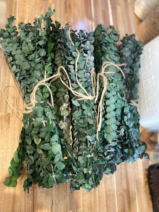 Hanging eucalyptus plant from Onic Brands LLC with lush green leaves, ideal for home decor or floral arrangements.
