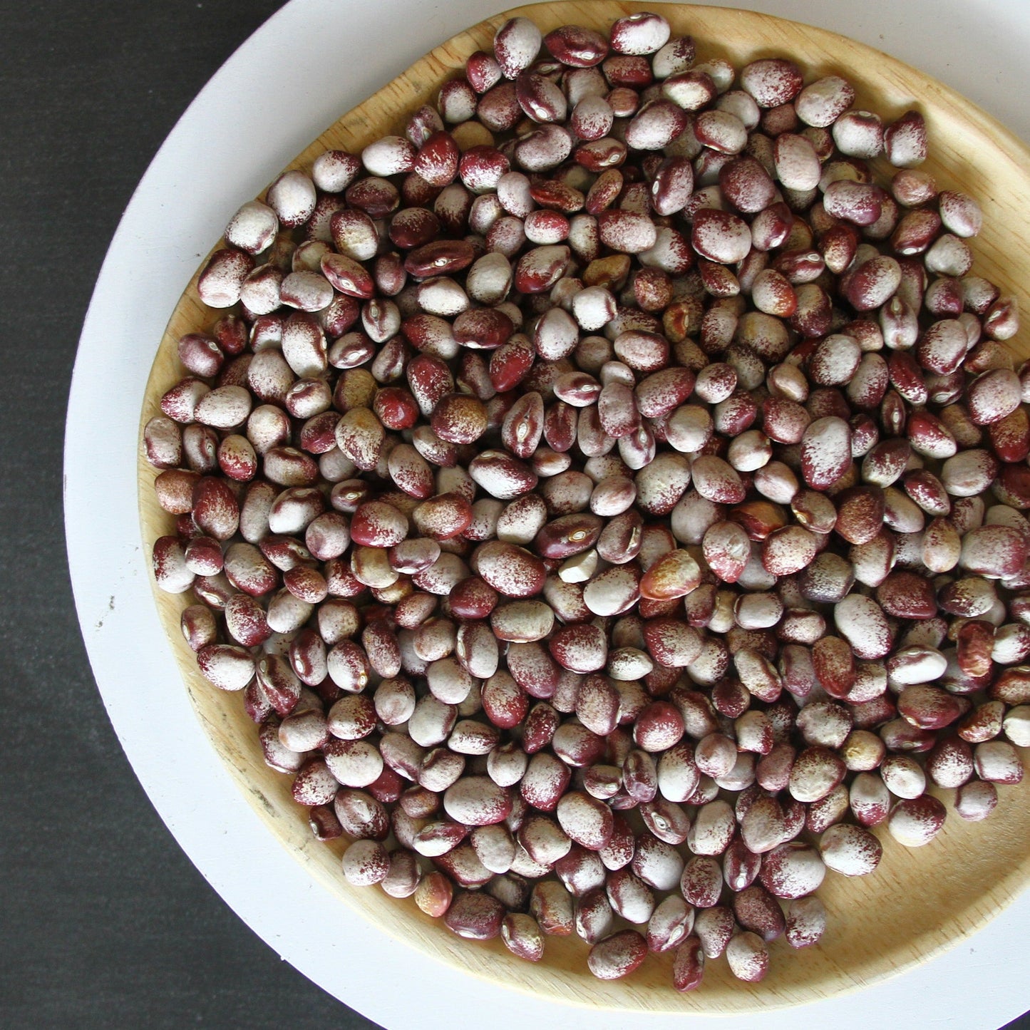 Mayflower Bean (Pole) - Blessings Grow Meadows