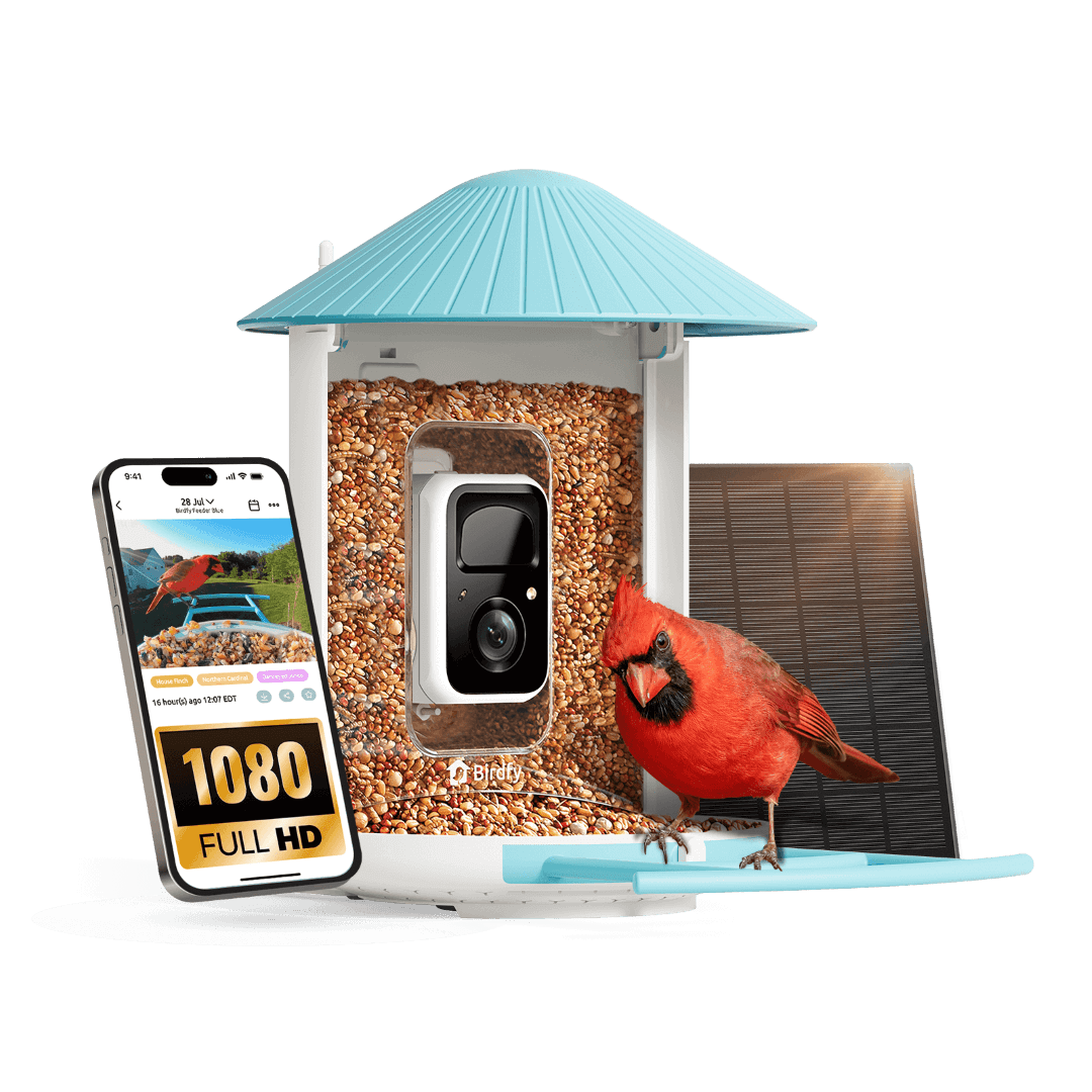 Birdfy Feeder - AI-Powered Smart Bird Feeder with Camera - Blessings Grow Meadows -