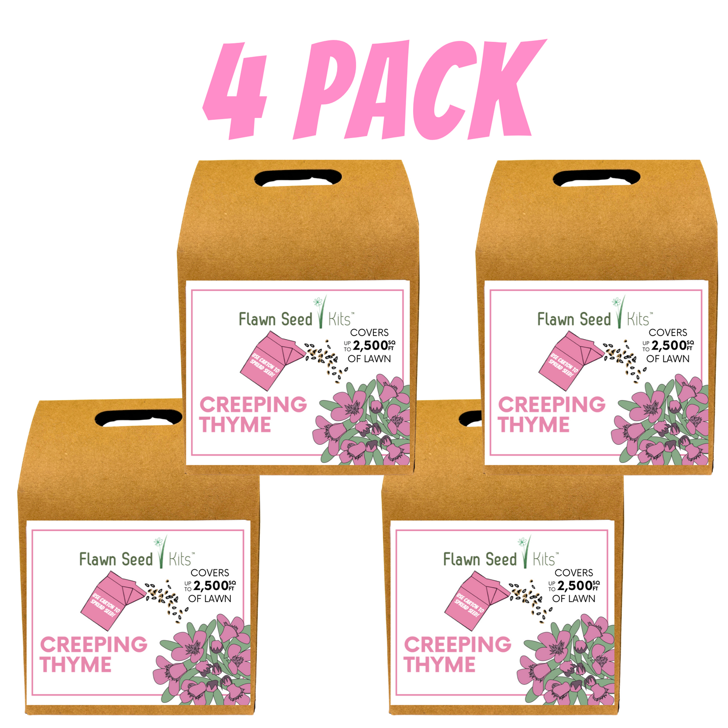 Creeping Thyme Eco-Friendly Seeding Kit - Blessings Grow Meadows