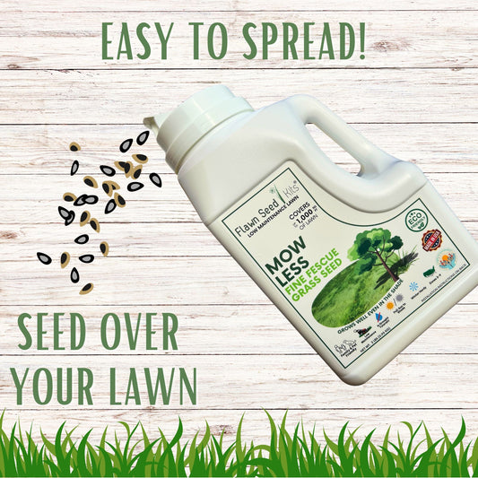 Mow Less Grass Seed - Blessings Grow Meadows