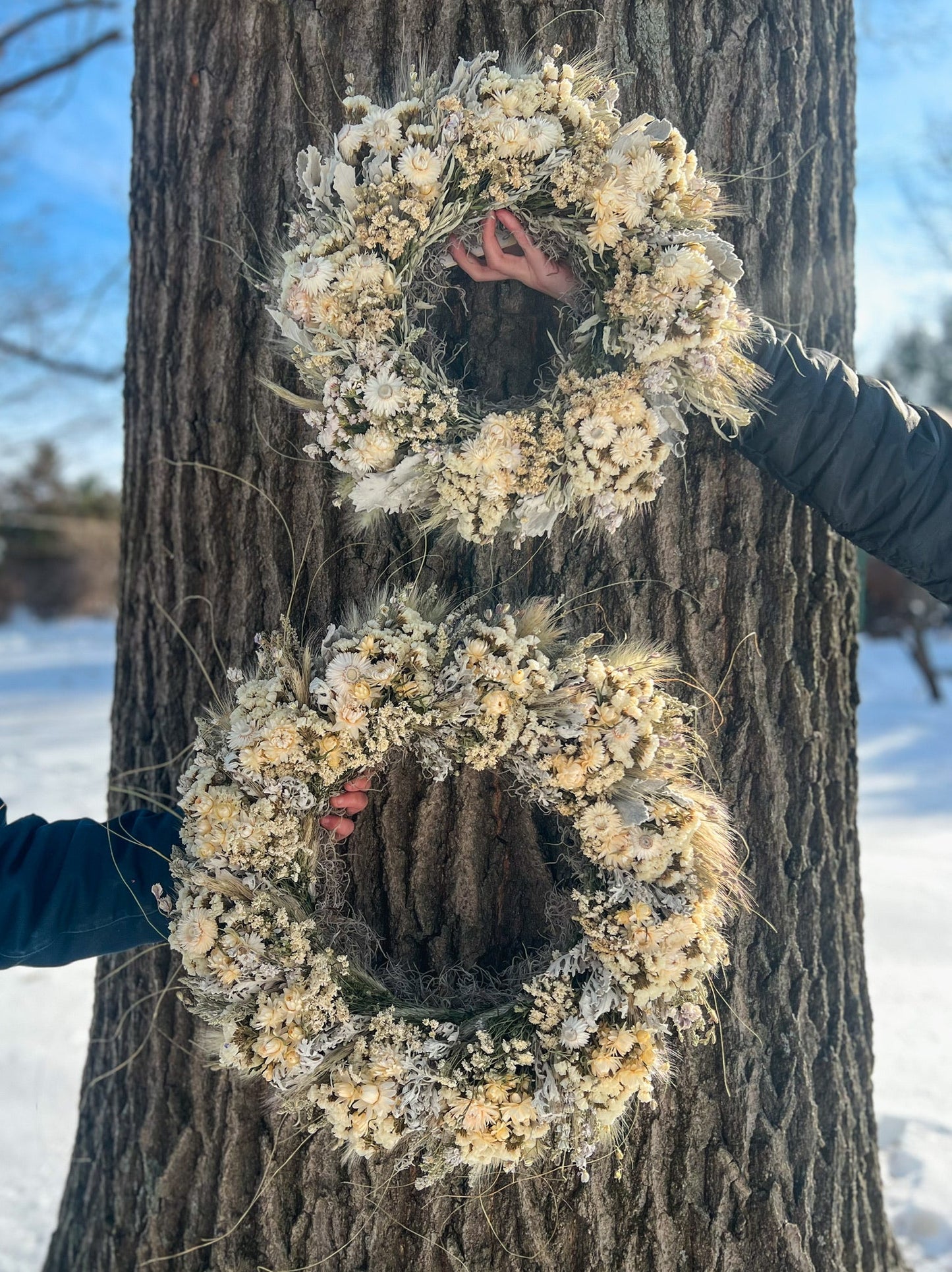 Dried Wreath-Snow White