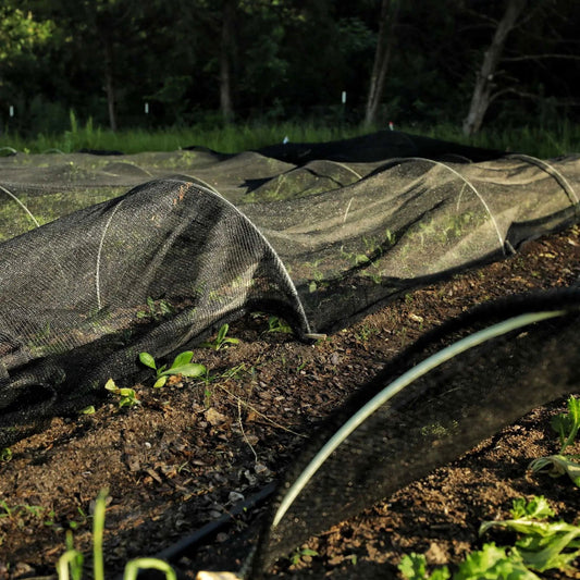 Photograph of a garden row cover protecting young plants in a garden bed against a backdrop of trees, showing vibrant green sprouts, a dark mesh fabric, and curved metal hoops
