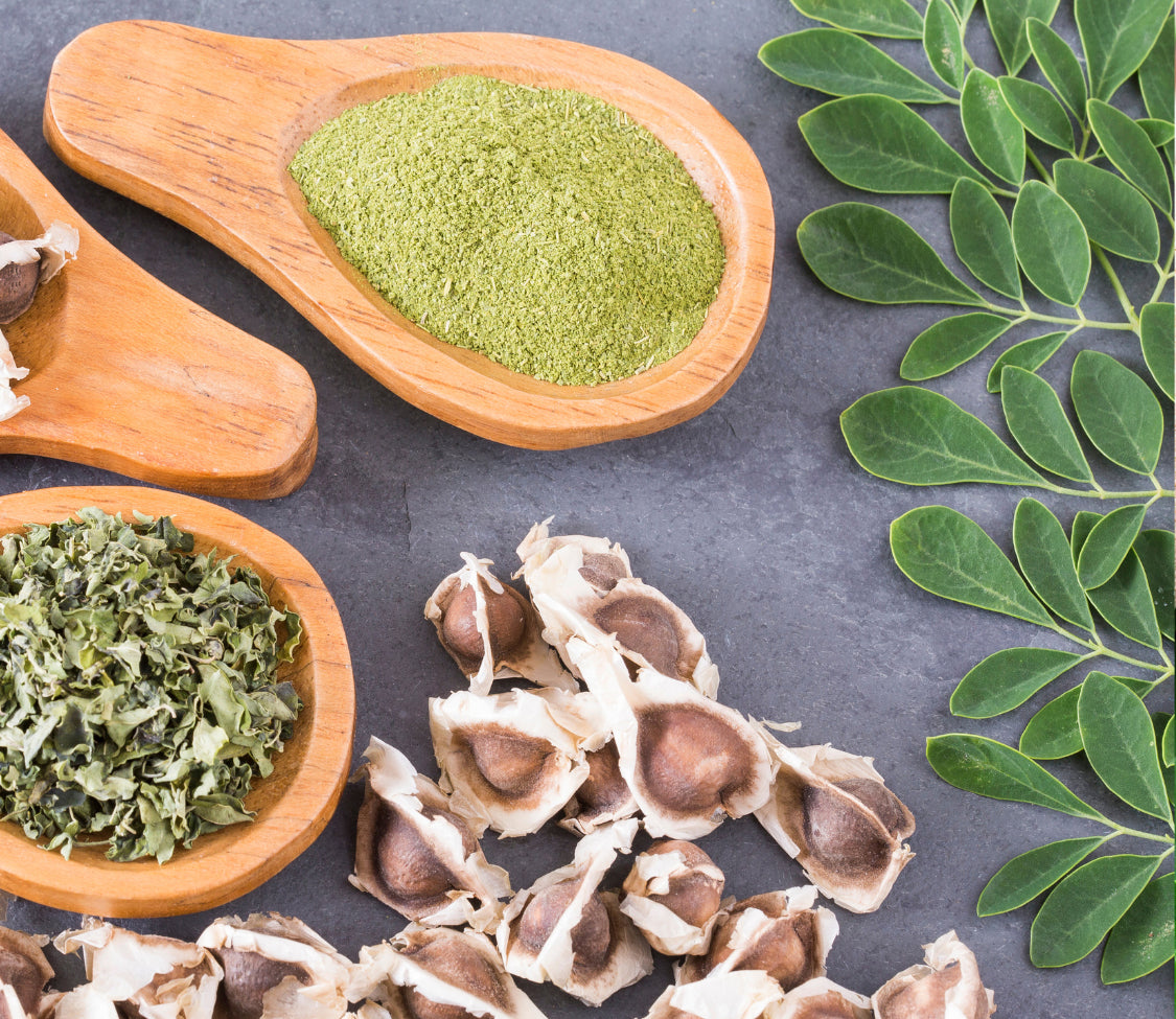 Moringa - Blessings Grow Meadows