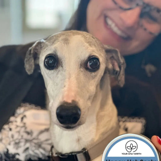 A small white and gray dog is held by a smiling person, with the Your Only Earth logo featuring a leaf. The image highlights their organic, non-toxic grooming product, Happy Coat, an ideal dog soap for safe pet care.