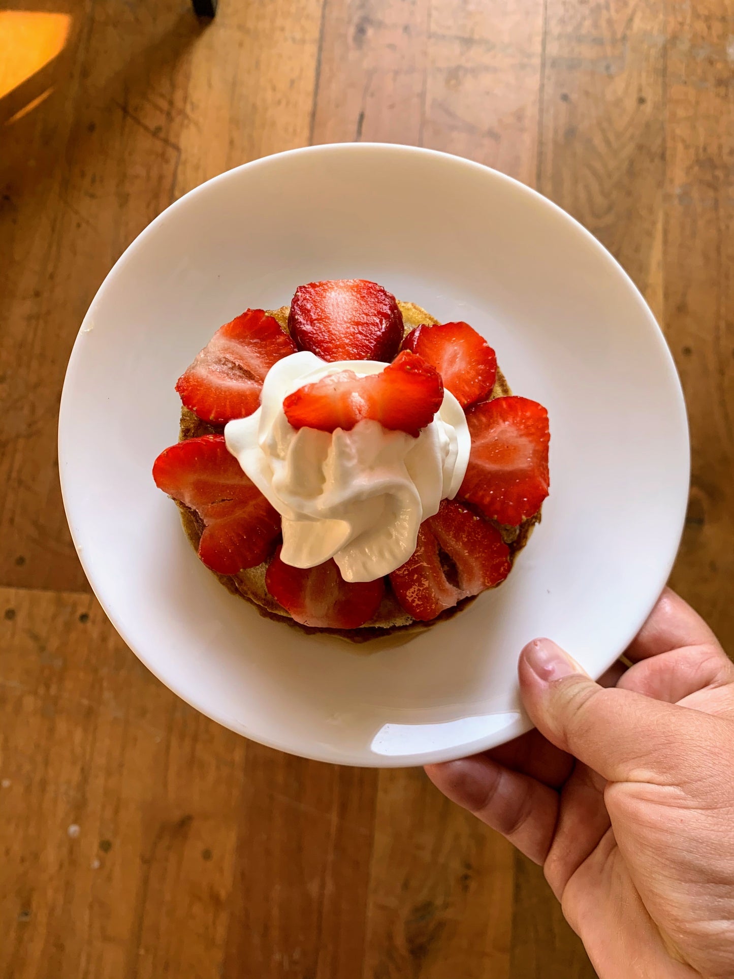 Albion Strawberry Plants