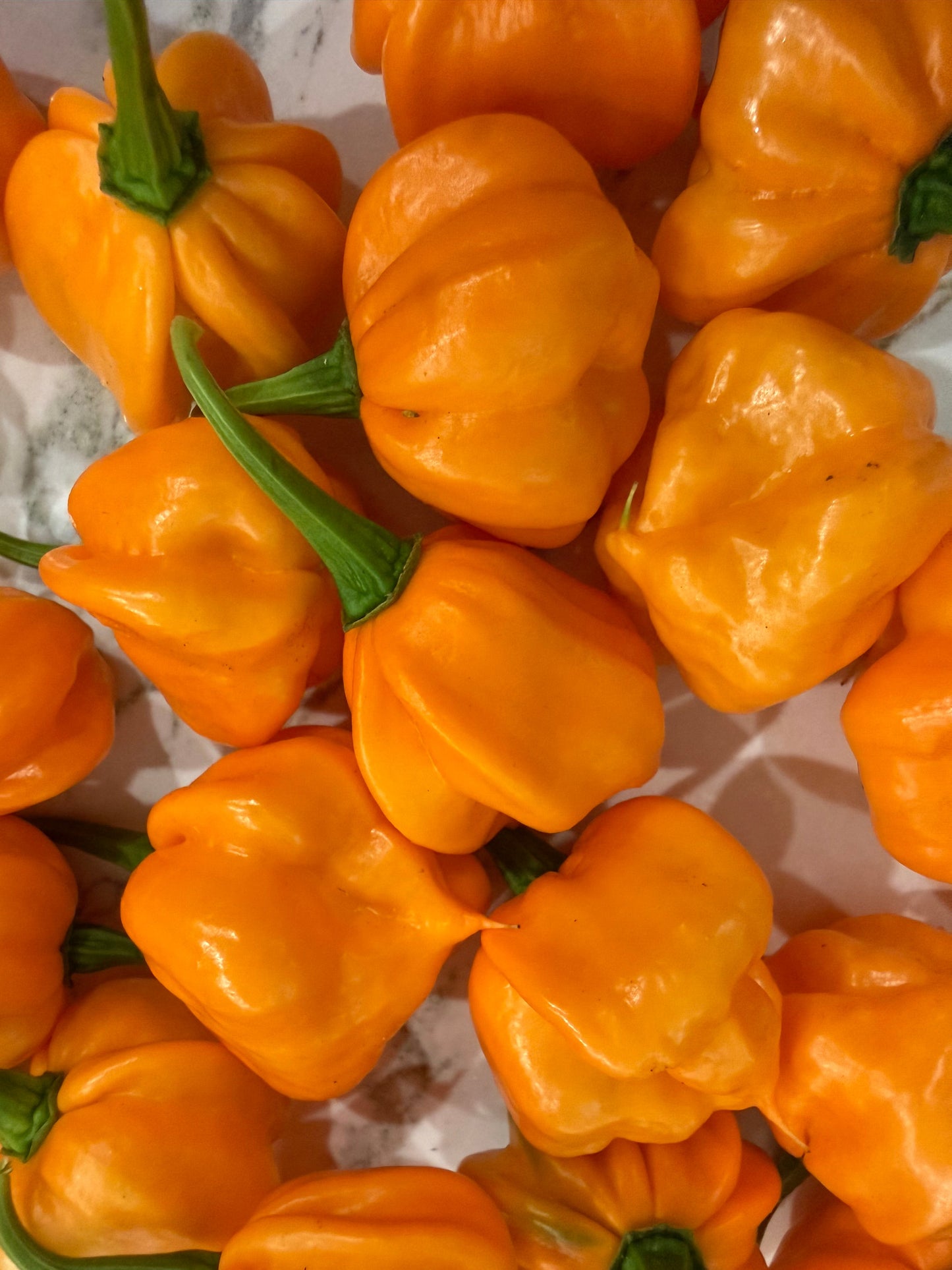 Pineapple Scotch Bonnett Chili Jam - Powerful Pepper Company ~ Blessings Grow Meadows