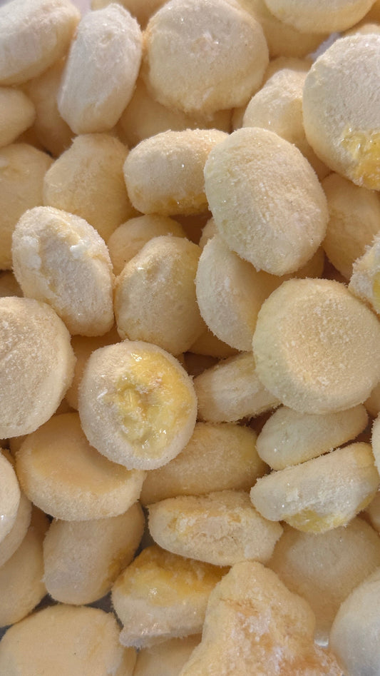 Freeze dried quail egg yolks for dog food by Bear's Bites, showing a close-up of the single ingredient egg yolks.