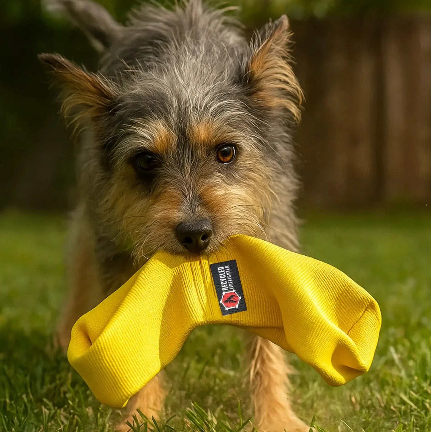 Yellow JR Tugs-A-Lot double-loop firehose dog tug toy by Recycled Firefighter, made from recycled firehose material.