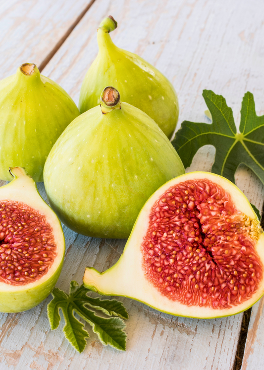 Healthy Fig 'Kadota' tree from Sow Exotic, a tropical fruit tree with lush green foliage suitable for planting.
