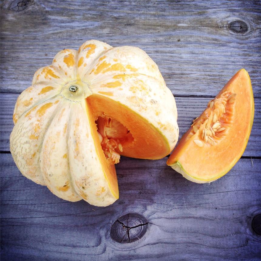 Delice de la table Melon - Blessings Grow Meadows