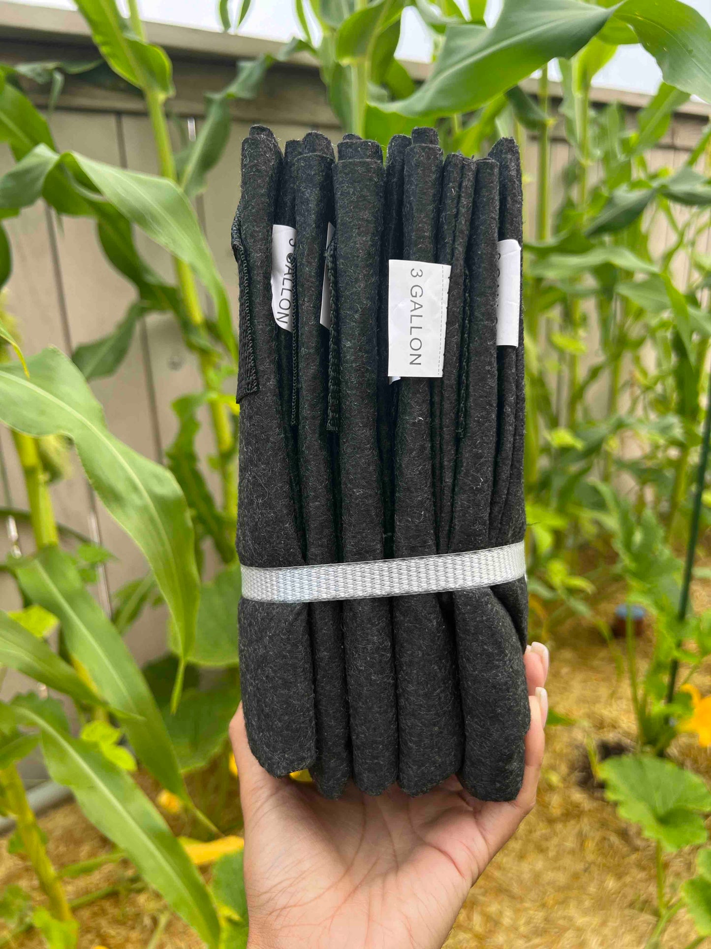 A hand holds a bundle of folded black grow bags labeled 3 GALLON from Memes Fabric Worm Bin by Memes Worms, with corn plants and a wooden fence in the background—ideal for gardening or creating a fabric worm bin.
