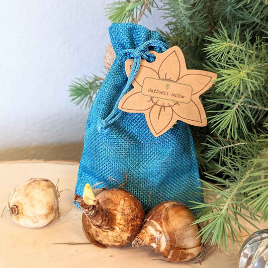 Mini Daffodil Bulbs - Blessings Grow Meadows -