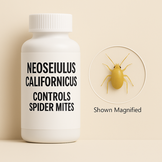 Neoseiulus californicus Treatment Bottles - Blessings Grow Meadows -