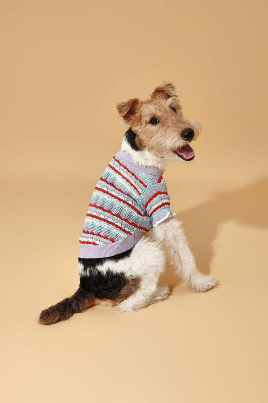 Pet & Me Spring Summer Lavender Ruffle Crochet Short Sleeve Polo Shirt - BarkBarkBaby ~ Blessings Grow Meadows