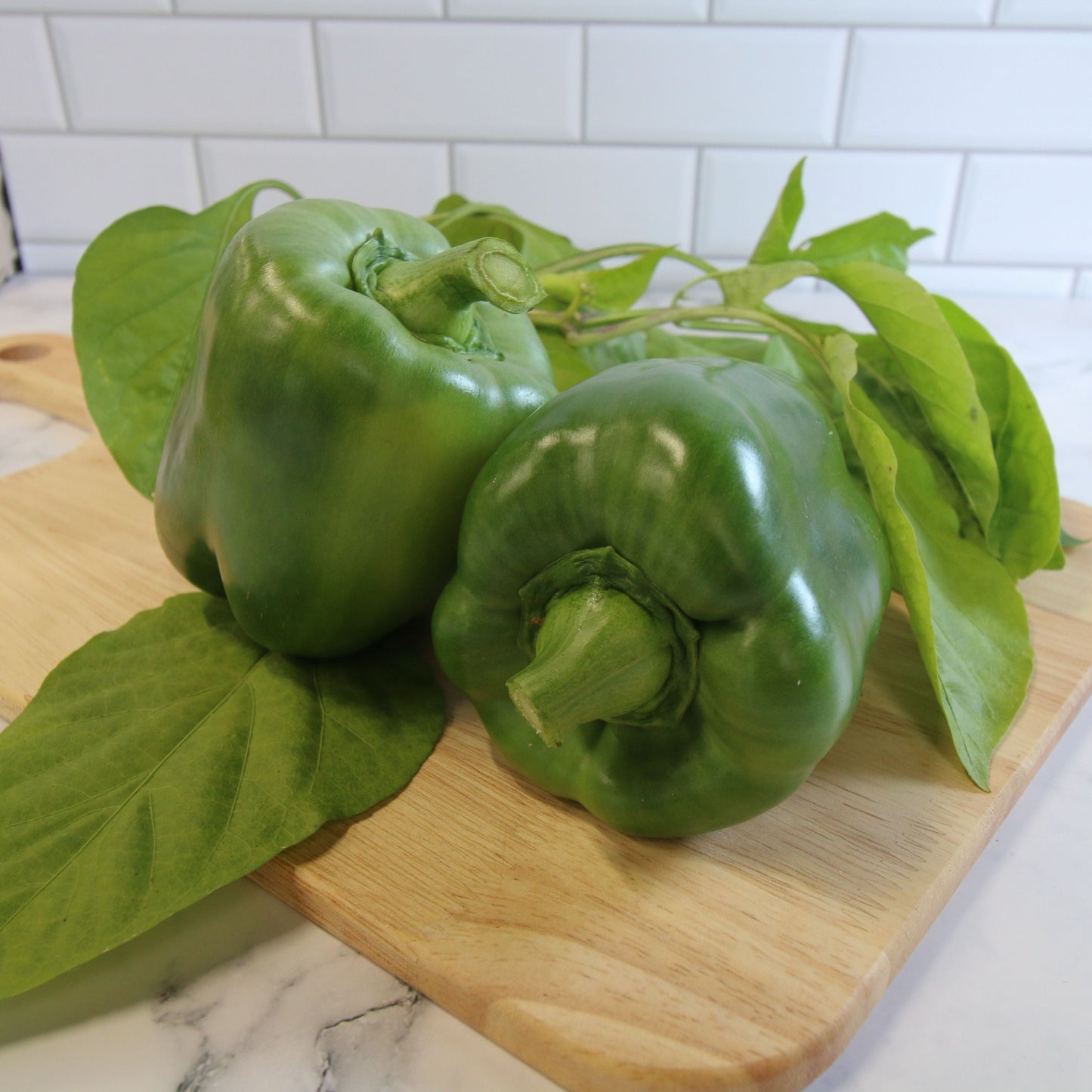 Emerald Giant Bell Pepper - Blessings Grow Meadows