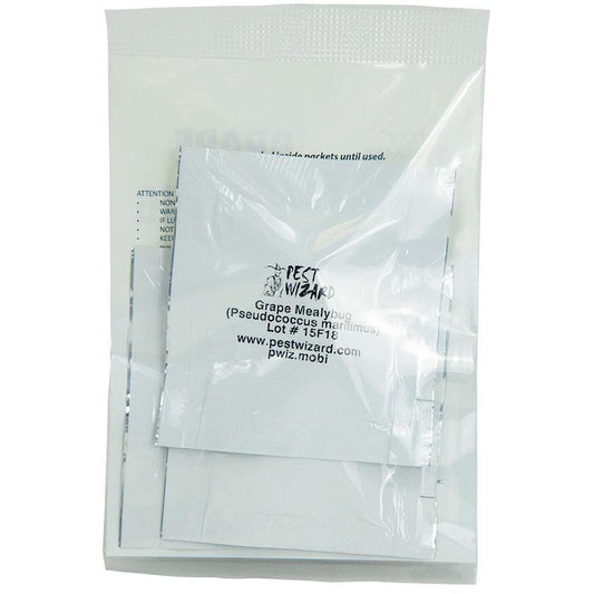 Pest Wizard Grape Mealybug Lure 3-Pack - Blessings Grow Meadows