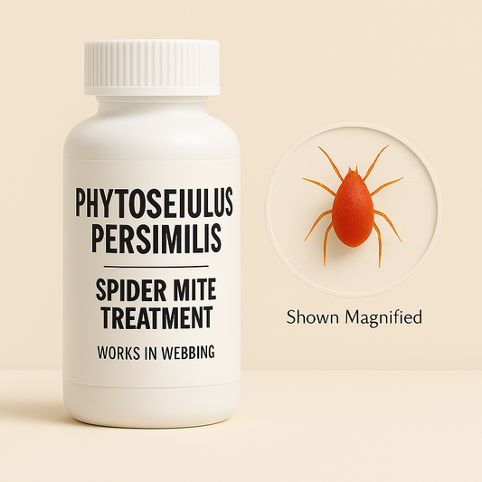 Phytoseiulus persimilis Treatment Bottles - Blessings Grow Meadows -