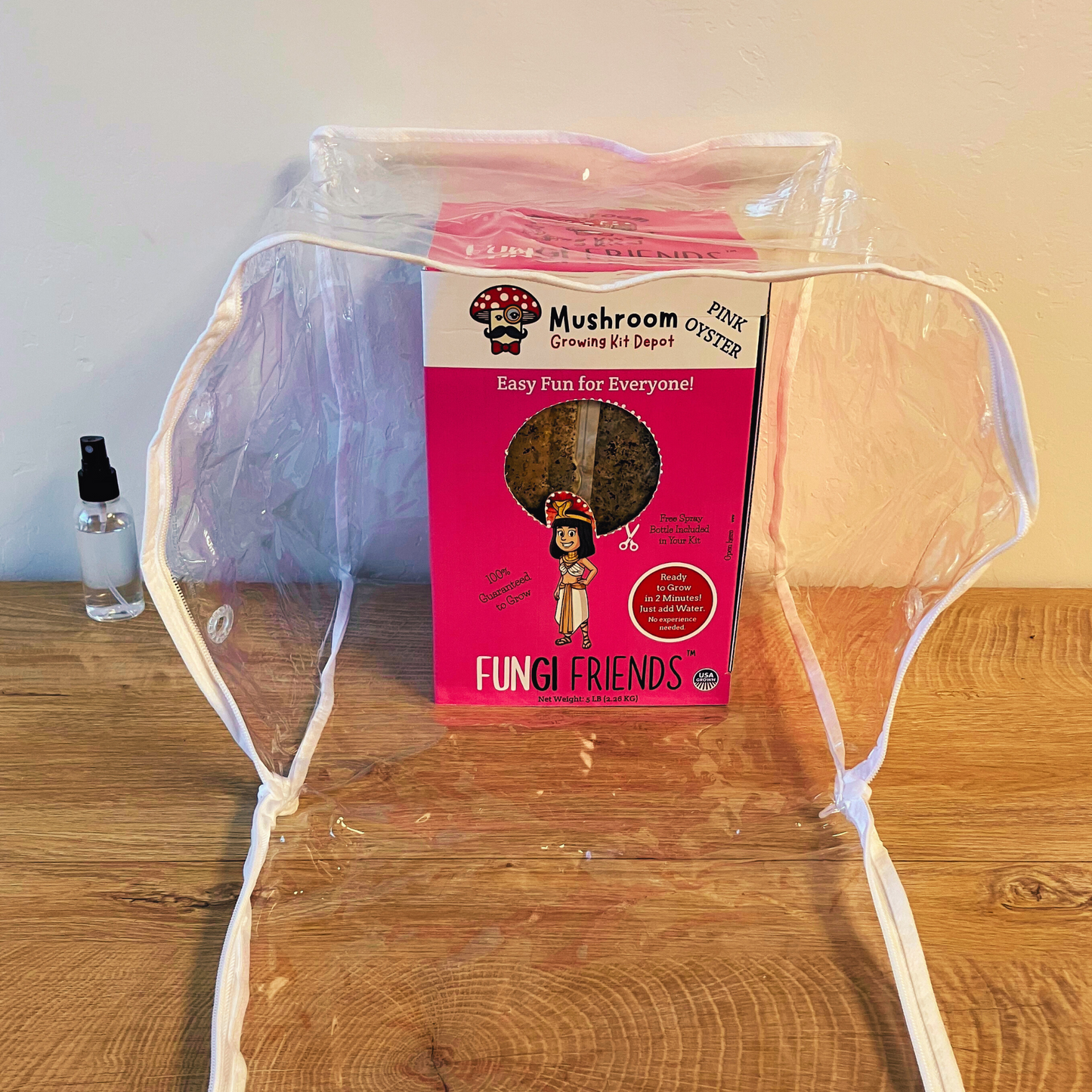 Cleopashrooma - Pink Oyster Mushroom Grow Kit - 5 LBS (with box) - Blessings Grow Meadows