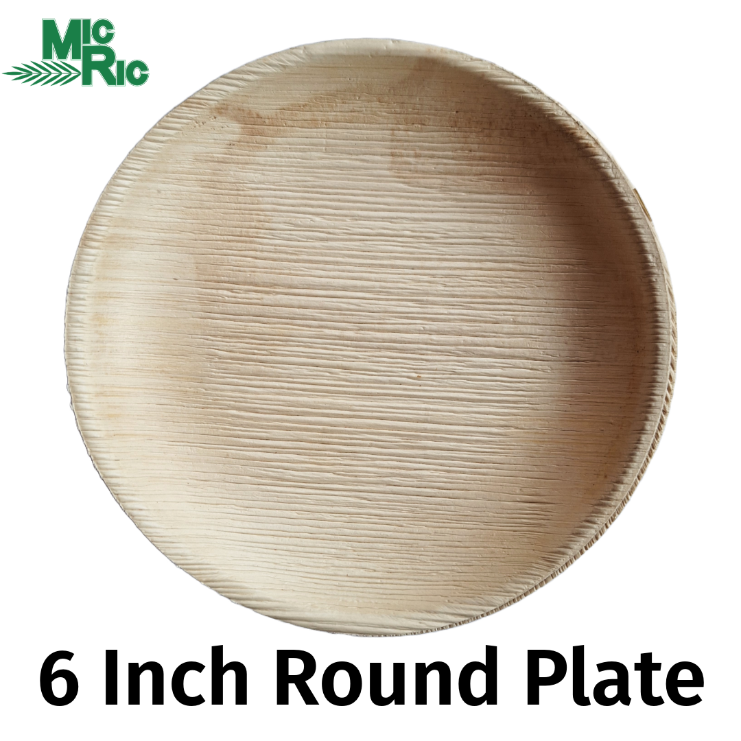MicRic palm leaf 6-inch round disposable plate, shown in natural light, with a smooth edge and eco-friendly design.