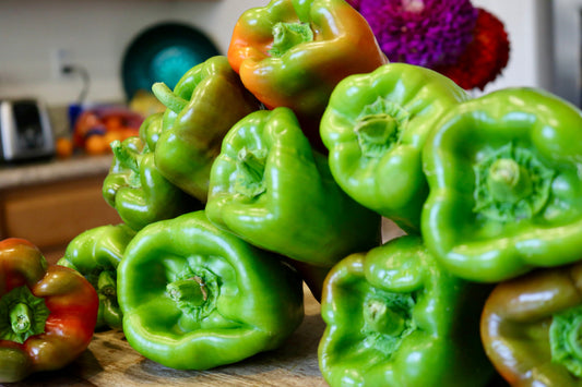 Big Bertha Hybrid Pepper Seeds by Seeds 'n Such produce large, elongated sweet bell peppers with green, red, and brown hues—perfect for stuffing and adding fresh flavor to your kitchen dishes.