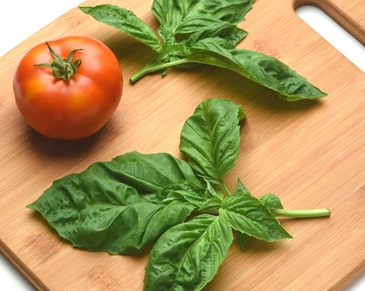 Newton Basil Seeds - Blessings Grow Meadows