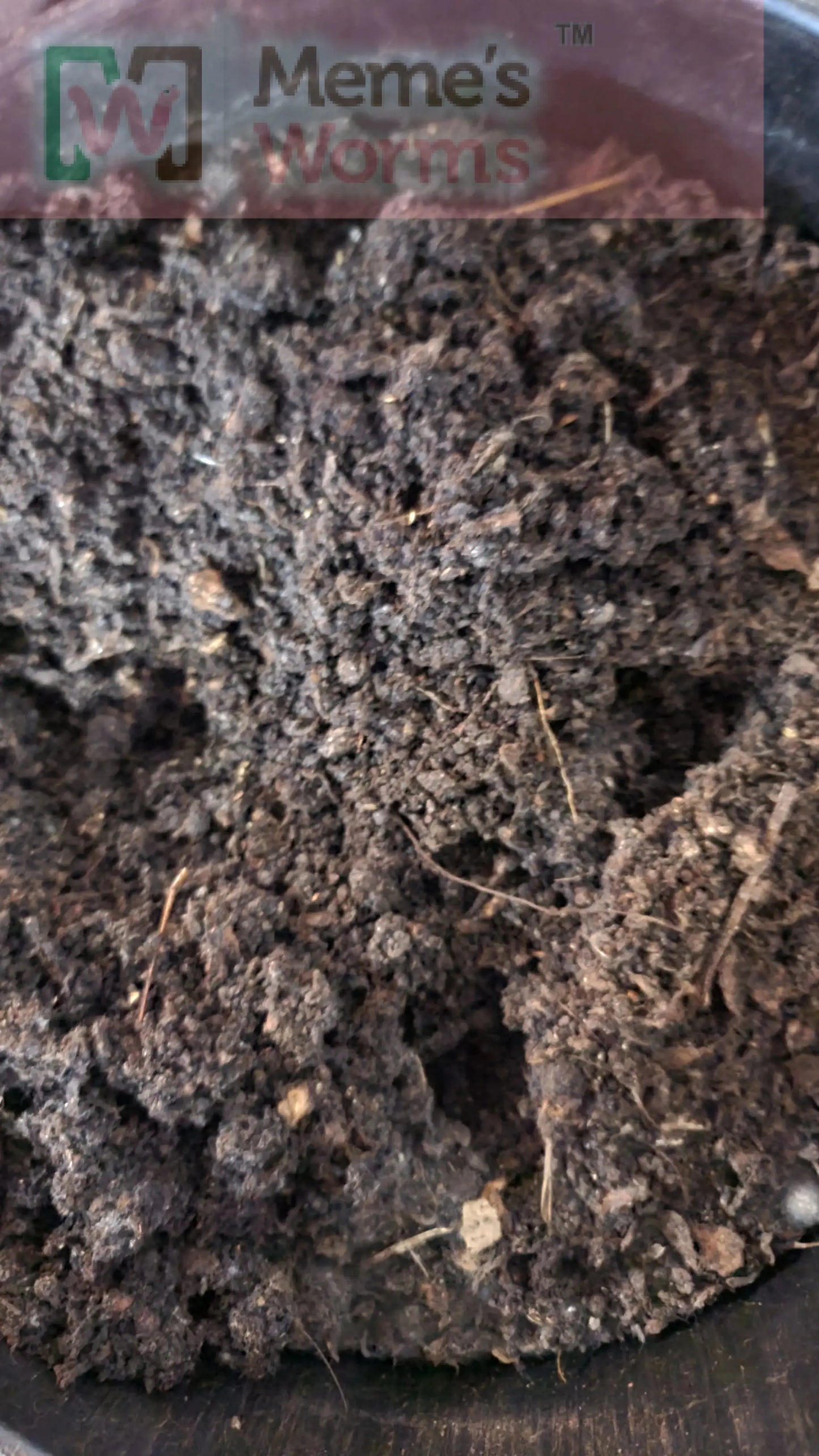 A close-up of dark, moist soil with small rocks and organic matter reveals nutrient-rich castings in Memes Worms Memes VermiFusion Blend Worm Bedding, making it loose, textured, and perfect for healthy plant growth.