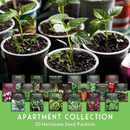 20 Variety Apartment Kit Seed Vault – Non-GMO Heirloom Seeds for Hydroponic & Indoor Small-Space Gardening - SurvivalGardenSeeds ~ Blessings Grow Meadows