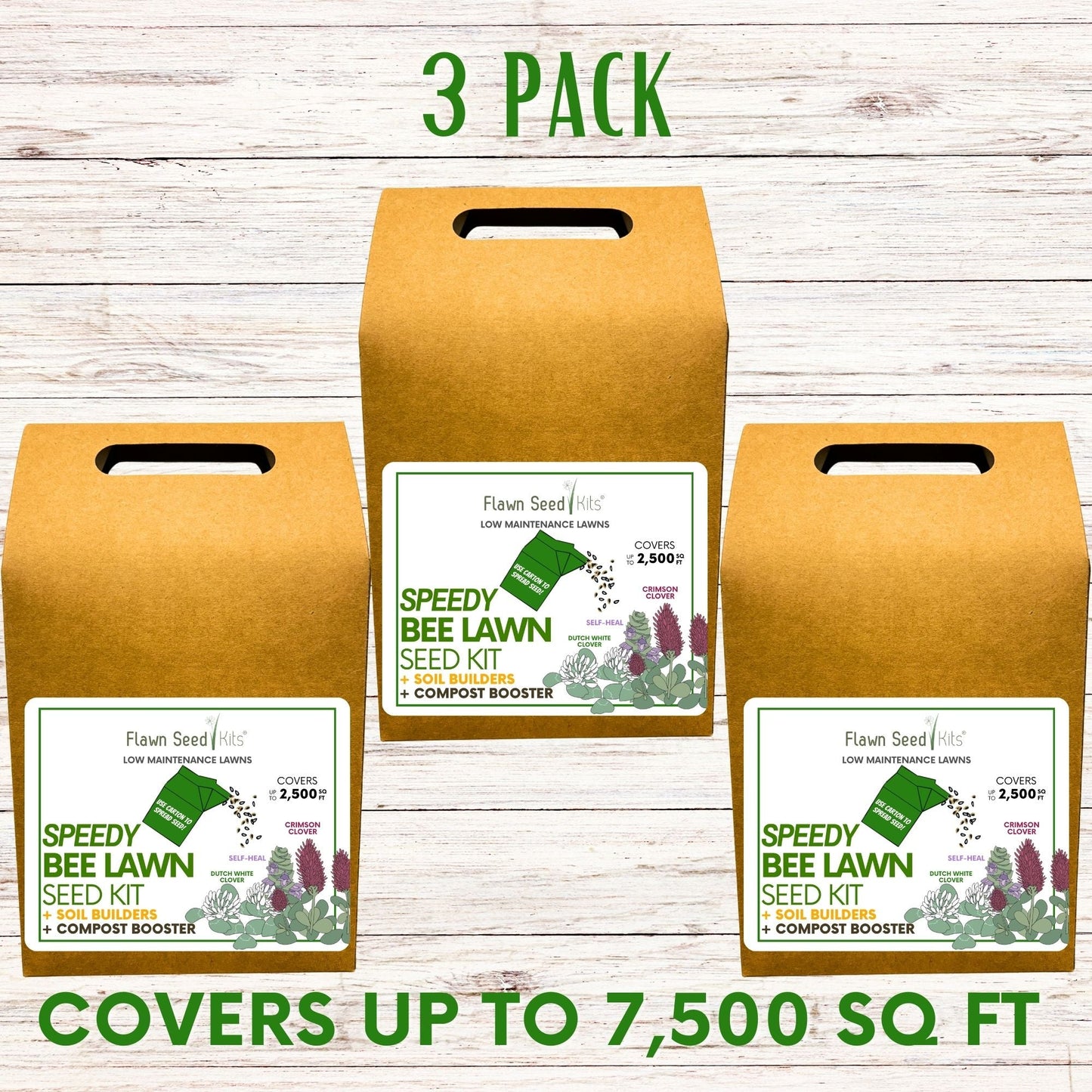 Speedy Bee Lawn Eco-Spread Carton - Flawn Seed Kits ~ Blessings Grow Meadows