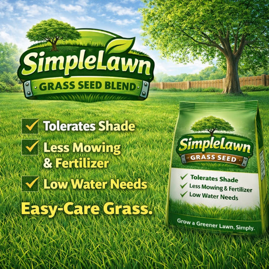 Fine fescue grass seed from Flawn Seed Kits, shown in seed tape form, designed for easy lawn seeding and healthy grass growth.