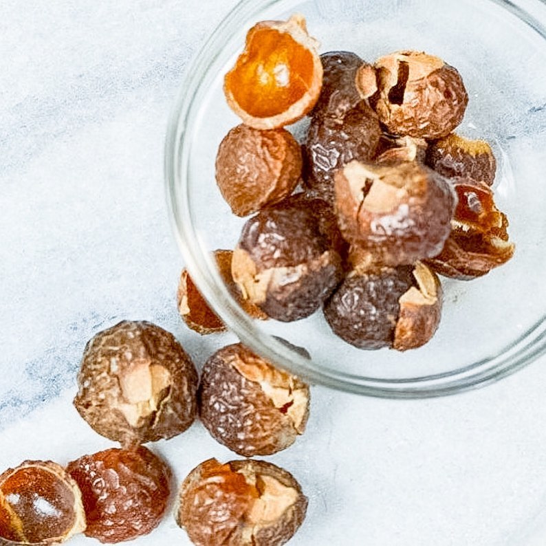 Soap Berries - Blessings Grow Meadows -