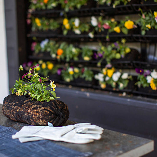 Varden™ Soil-Filled Vardensok - Bootstrap Farmer ~ Blessings Grow Meadows