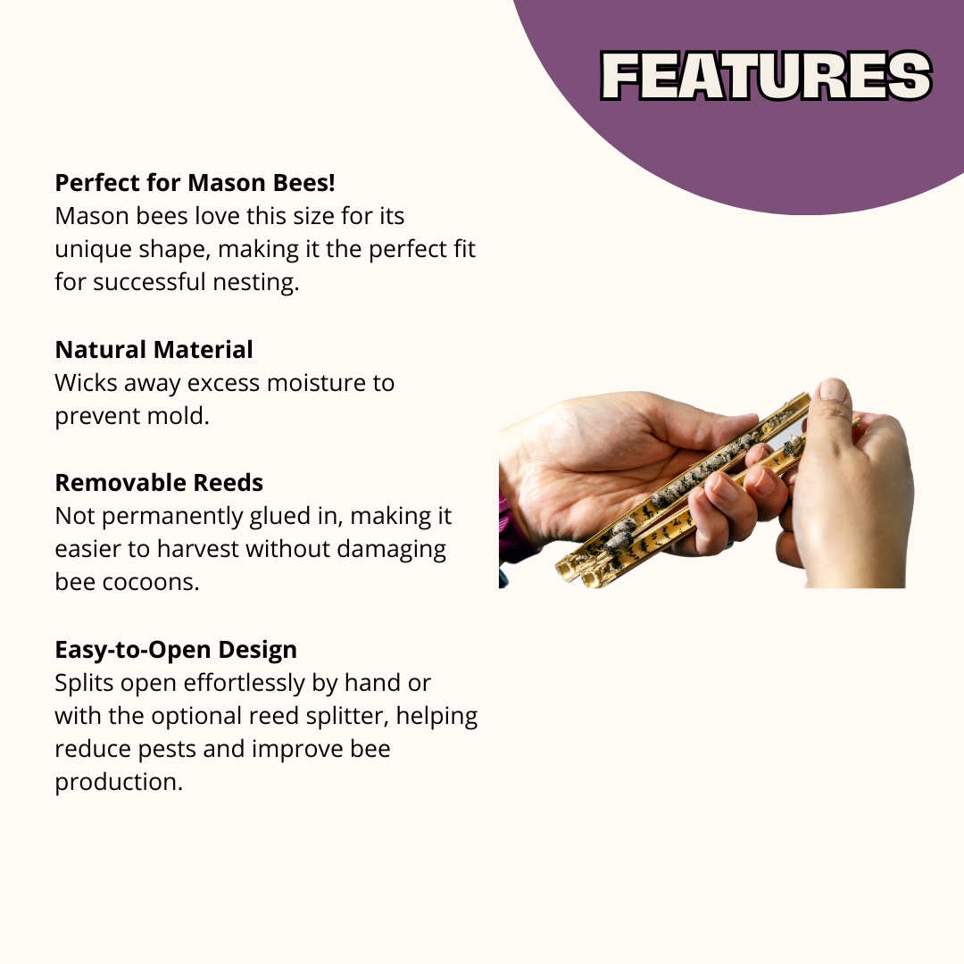 Spring Mason Bee attractant by CrownBees, featuring reed components to encourage mason bee nesting behavior.