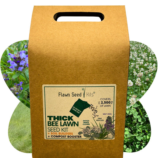 Thick Bee Lawn Seed Kit Eco-Spread Carton - Blessings Grow Meadows