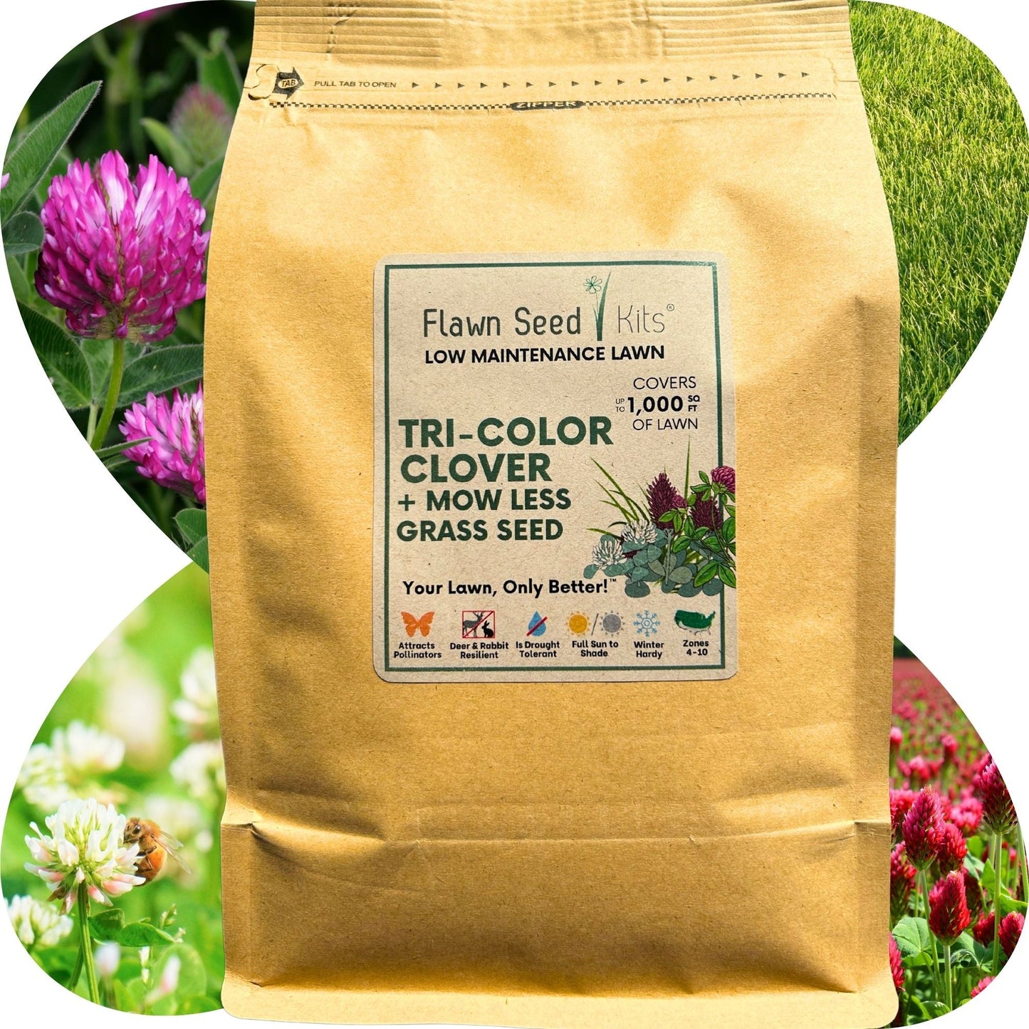 TRI-Color Clover + Mow Less Grass Seed - Flawn Seed Kits ~ Blessings Grow Meadows