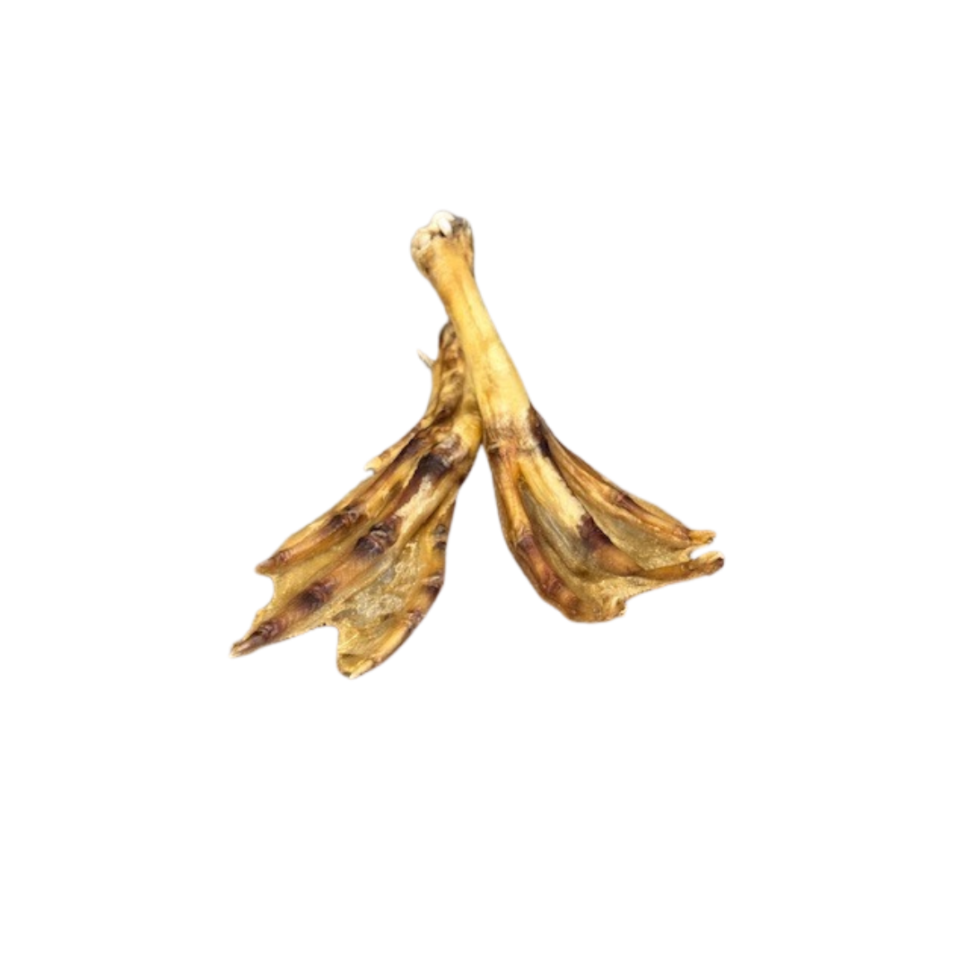 Single Ingredient Dehydrated Duck Feet